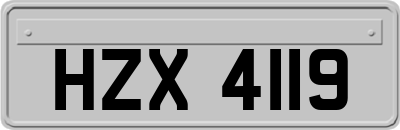 HZX4119