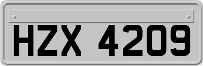 HZX4209