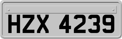 HZX4239
