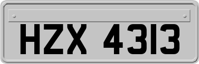 HZX4313