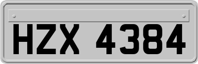 HZX4384