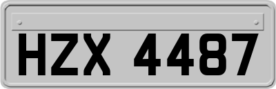 HZX4487
