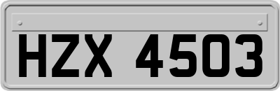 HZX4503