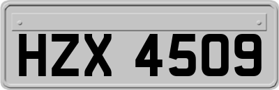 HZX4509