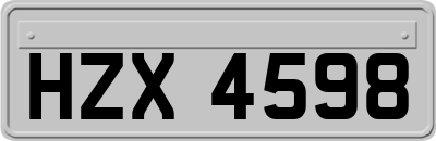 HZX4598