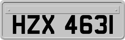 HZX4631
