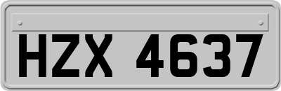 HZX4637