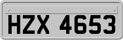 HZX4653