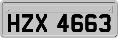 HZX4663