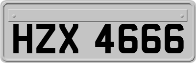 HZX4666