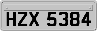 HZX5384