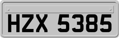 HZX5385