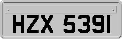 HZX5391
