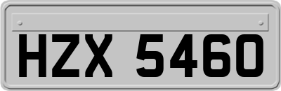 HZX5460