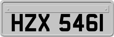 HZX5461