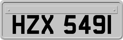 HZX5491