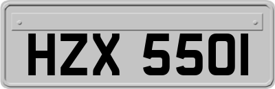 HZX5501