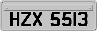 HZX5513