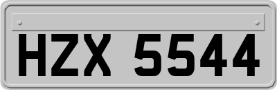 HZX5544