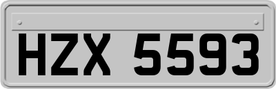 HZX5593