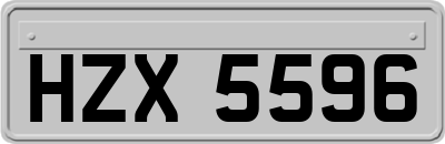 HZX5596