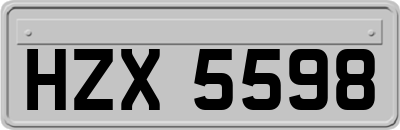 HZX5598
