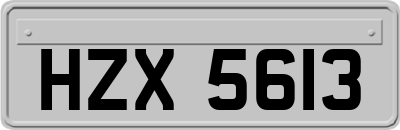 HZX5613