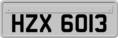 HZX6013