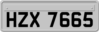 HZX7665