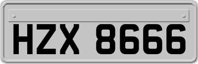 HZX8666