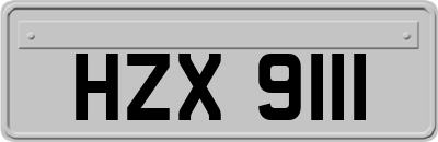 HZX9111