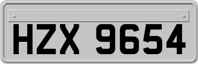 HZX9654