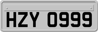 HZY0999
