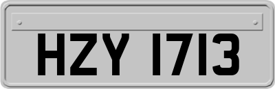 HZY1713