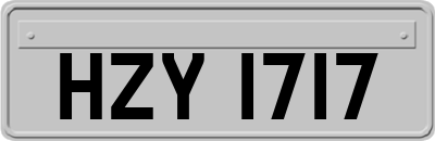 HZY1717