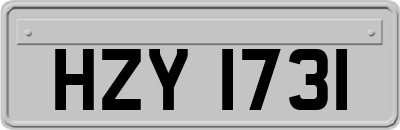 HZY1731
