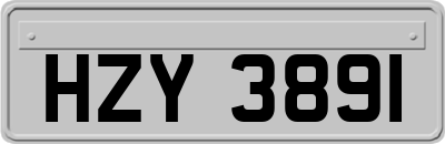 HZY3891