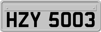 HZY5003