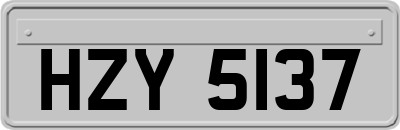 HZY5137
