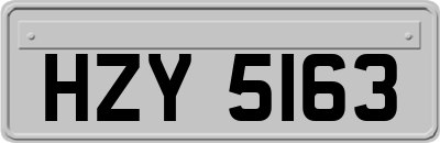 HZY5163