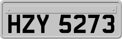 HZY5273