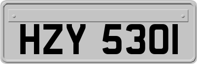 HZY5301