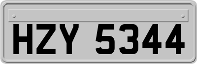 HZY5344