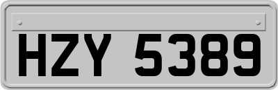 HZY5389