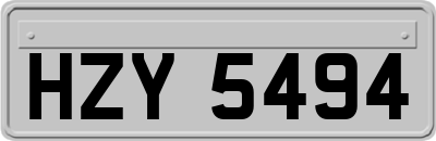 HZY5494