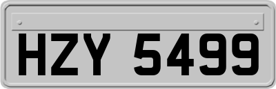 HZY5499