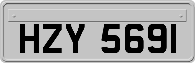 HZY5691