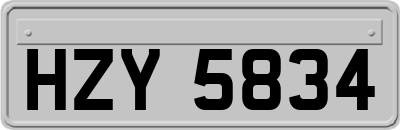 HZY5834
