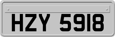 HZY5918