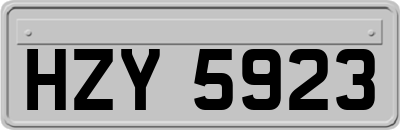 HZY5923